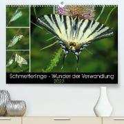 Schmetterlinge - Wunder der Verwandlung (Premium, hochwertiger DIN A2 Wandkalender 2023, Kunstdruck in Hochglanz)