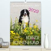 Farbenfroh durch's Jahr mit dem Berner Sennenhund (Premium, hochwertiger DIN A2 Wandkalender 2023, Kunstdruck in Hochglanz)