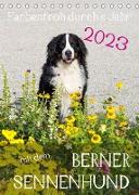 Farbenfroh durch's Jahr mit dem Berner Sennenhund (Tischkalender 2023 DIN A5 hoch)