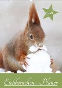 Eichhörnchen - Planer (Wandkalender 2023 DIN A2 hoch)