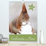 Eichhörnchen - Planer (Premium, hochwertiger DIN A2 Wandkalender 2023, Kunstdruck in Hochglanz)