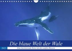 Die blaue Welt der Wale (Wandkalender 2023 DIN A4 quer)