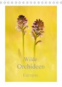 Wilde Orchideen Europas (Tischkalender 2023 DIN A5 hoch)