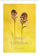 Wilde Orchideen Europas (Wandkalender 2023 DIN A3 hoch)
