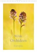 Wilde Orchideen Europas (Wandkalender 2023 DIN A4 hoch)