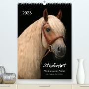 StudioArt Pferderassen im Porträt (Premium, hochwertiger DIN A2 Wandkalender 2023, Kunstdruck in Hochglanz)