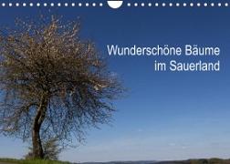 Wunderschöne Bäume im Sauerland (Wandkalender 2023 DIN A4 quer)