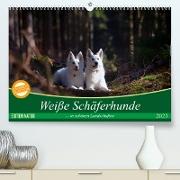 Weiße Schäferhunde in schönen Landschaften (Premium, hochwertiger DIN A2 Wandkalender 2023, Kunstdruck in Hochglanz)