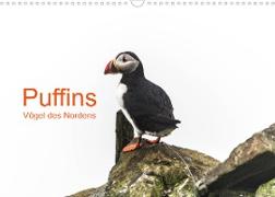 Puffins - Vögel des Nordens (Wandkalender 2023 DIN A3 quer)