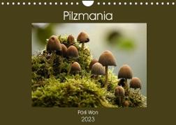 Pilzmania (Wandkalender 2023 DIN A4 quer)