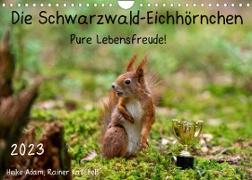 Die Schwarzwald-Eichhörnchen (Wandkalender 2023 DIN A4 quer)