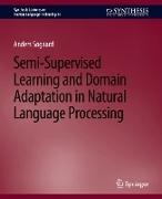 Semi-Supervised Learning and Domain Adaptation in Natural Language Processing