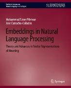 Embeddings in Natural Language Processing