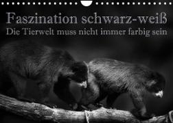 Faszination schwarz-weiß - Die Tierwelt muss nicht immer farbig sein (Wandkalender 2023 DIN A4 quer)