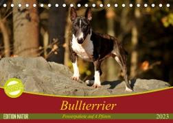 Bullterrier, Powerpakete auf 4 Pfoten (Tischkalender 2023 DIN A5 quer)