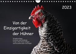 Von der Einzigartigkeit der Hühner 2023 (Wandkalender 2023 DIN A4 quer)