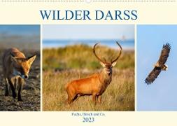 Wilder Darß - Fuchs, Hirsch und Co. 2023 (Wandkalender 2023 DIN A2 quer)