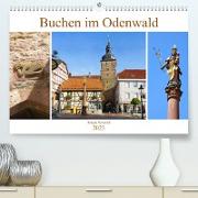 Buchen im Odenwald (Premium, hochwertiger DIN A2 Wandkalender 2023, Kunstdruck in Hochglanz)