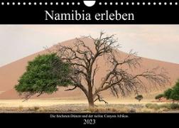 Namibia erleben (Wandkalender 2023 DIN A4 quer)