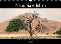 Namibia erleben (Wandkalender 2023 DIN A3 quer)
