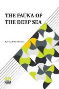 The Fauna Of The Deep Sea