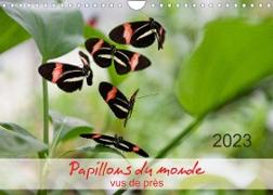 Papillons du monde, vus de près (Calendrier mural 2023 DIN A4 horizontal)