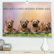 IRISH SOFT COATED WHEATEN TERRIER 2023 (Premium, hochwertiger DIN A2 Wandkalender 2023, Kunstdruck in Hochglanz)