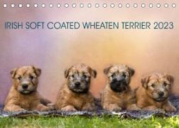 IRISH SOFT COATED WHEATEN TERRIER 2023 (Tischkalender 2023 DIN A5 quer)