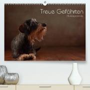 Treue Gefährten - Hundeportraits (Premium, hochwertiger DIN A2 Wandkalender 2023, Kunstdruck in Hochglanz)
