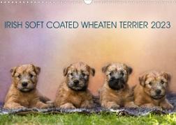 IRISH SOFT COATED WHEATEN TERRIER 2023 (Wandkalender 2023 DIN A3 quer)