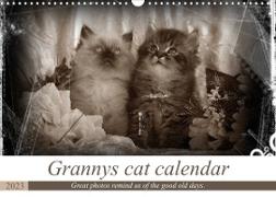 Granny's cat calendar (Wall Calendar 2023 DIN A3 Landscape)