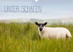 Unter Schafen - Wegbegleiter auf Reisen (Wandkalender 2023 DIN A3 quer)
