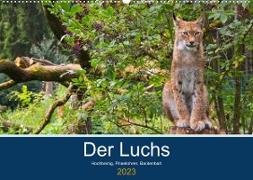 Der Luchs - Hochbeinig, Pinselohren, Backenbart (Wandkalender 2023 DIN A2 quer)