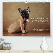 Charme auf vier Pfoten - Französische Bulldoggen Portraits (Premium, hochwertiger DIN A2 Wandkalender 2023, Kunstdruck in Hochglanz)