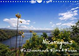 Nicaraguas faszinierende Flora & Fauna (Wandkalender 2023 DIN A4 quer)