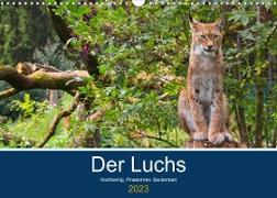 Der Luchs - Hochbeinig, Pinselohren, Backenbart (Wandkalender 2023 DIN A3 quer)