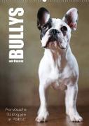 Bullys mit Charme - Französische Bulldoggen im Portrait (Wandkalender 2023 DIN A2 hoch)