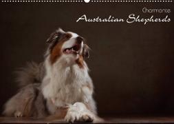 Charmante Australian Shepherds (Wandkalender 2023 DIN A2 quer)