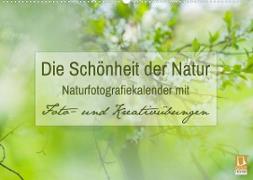 Die Schönheit der Natur - Naturfotografie-Kalender mit Foto- und Kreativübungen (Wandkalender 2023 DIN A2 quer)