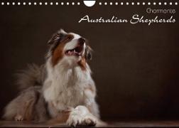 Charmante Australian Shepherds (Wandkalender 2023 DIN A4 quer)