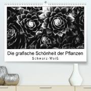 Die grafische Schönheit der Pflanzen ¿ Schwarz-Weiß (Premium, hochwertiger DIN A2 Wandkalender 2023, Kunstdruck in Hochglanz)