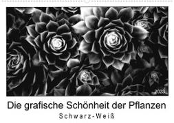 Die grafische Schönheit der Pflanzen ¿ Schwarz-Weiß (Wandkalender 2023 DIN A2 quer)