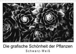 Die grafische Schönheit der Pflanzen ¿ Schwarz-Weiß (Wandkalender 2023 DIN A3 quer)