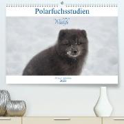 Polarfuchsstudien Wildlife (Premium, hochwertiger DIN A2 Wandkalender 2023, Kunstdruck in Hochglanz)