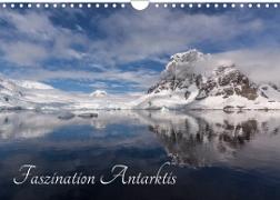 Faszination Antarktis (Wandkalender 2023 DIN A4 quer)