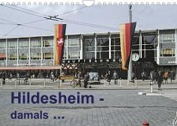 Hildesheim - damals ... (Wandkalender 2023 DIN A4 quer)
