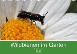 Wildbienen im Garten (Wandkalender 2023 DIN A2 quer)