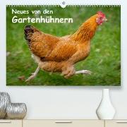Neues von den Gartenhühnern (Premium, hochwertiger DIN A2 Wandkalender 2023, Kunstdruck in Hochglanz)