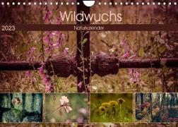 Wildwuchs 2023 (Wandkalender 2023 DIN A4 quer)