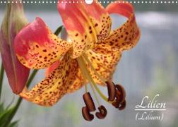 Lilien (Lilium) (Wandkalender 2023 DIN A3 quer)